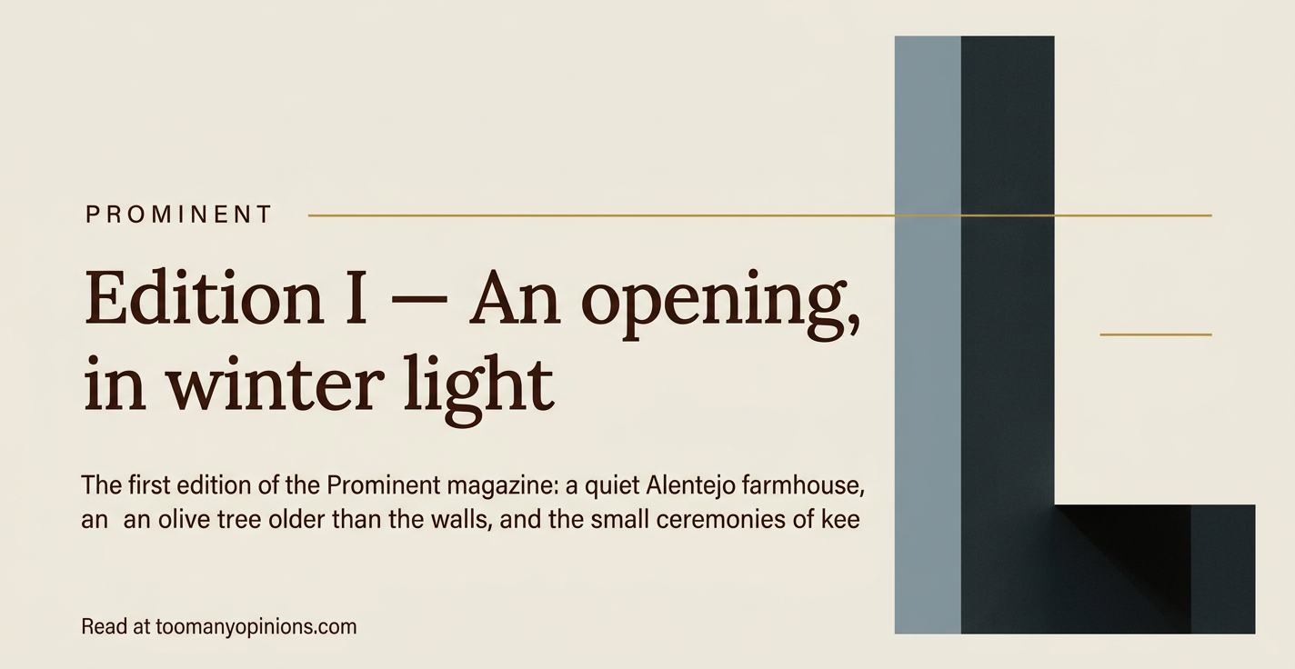Edition I — An opening, in winter light