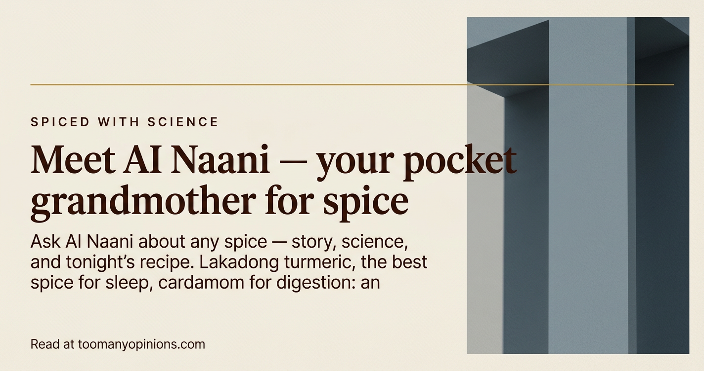 Meet AI Naani — your pocket grandmother for spice